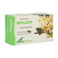 Boldo (Peumus boldus mol)
