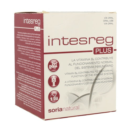 Intesreg Plus